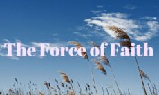 Force of faith